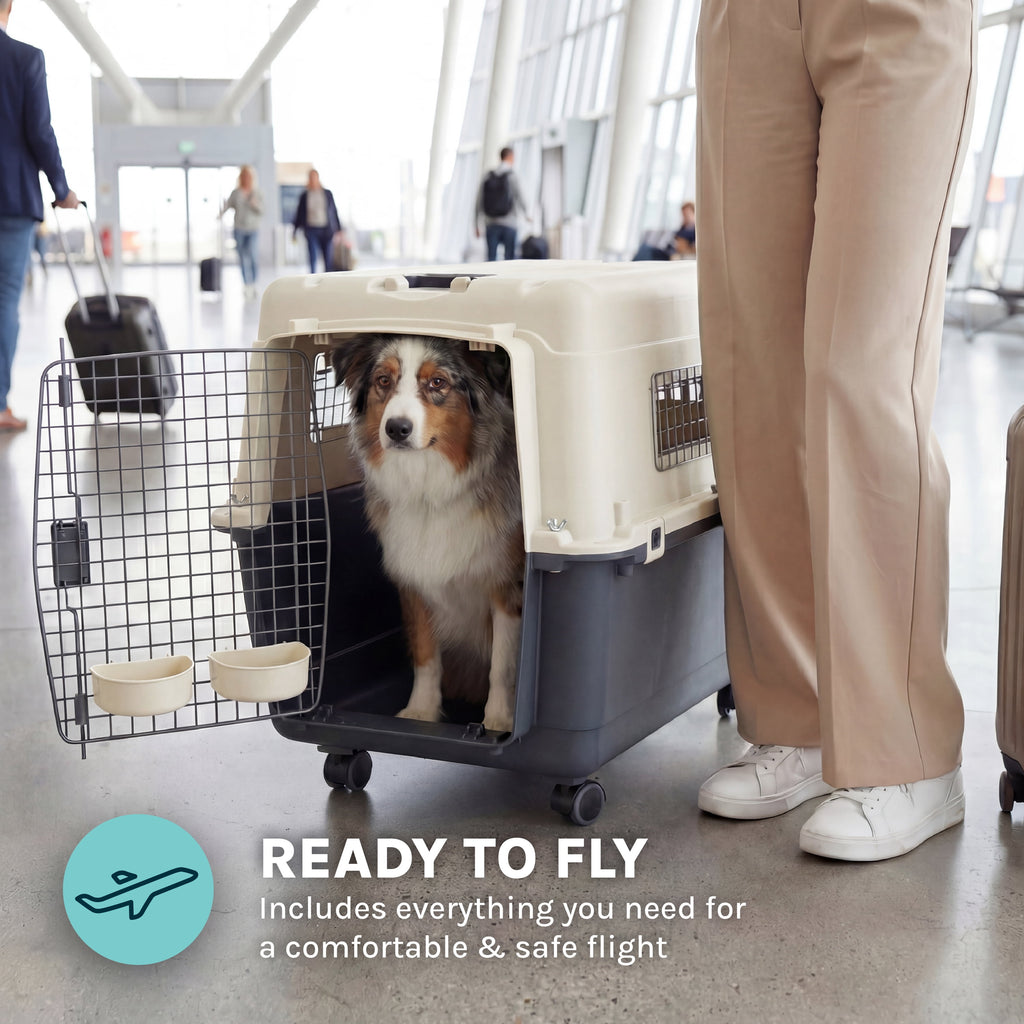Large Airline-Approved Plastic Dog Kennel with Wheels