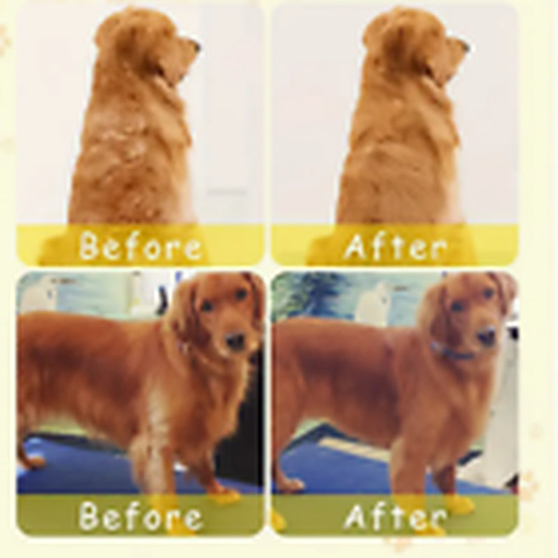 Rechargeable Hot Steam Grooming Brush for Cats and Dogs - Effortless Shedding Hair Removal